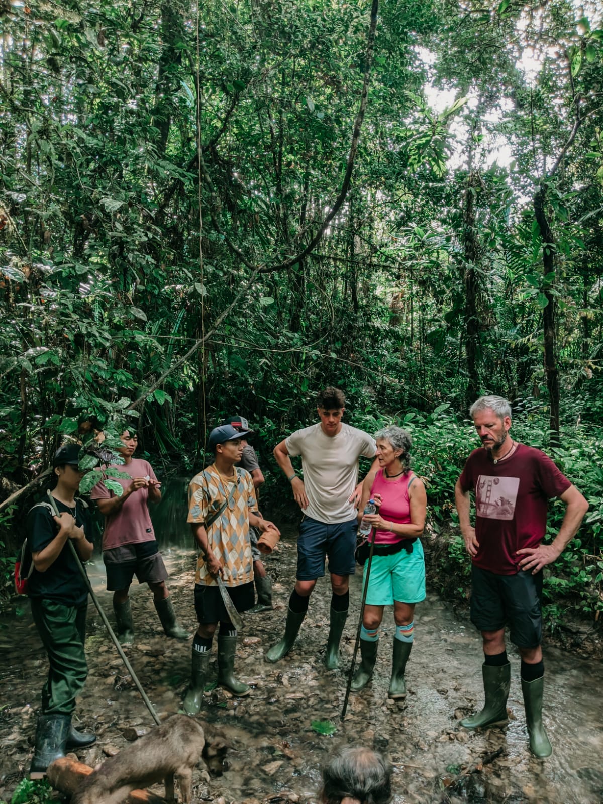 Cultural Essence & Indigenous Wisdom